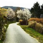 Ronyhome *