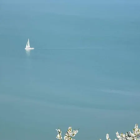 Ronyhome * Balatongyörök