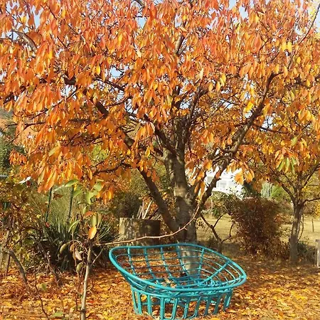 Ronyhome Prázdninový dům