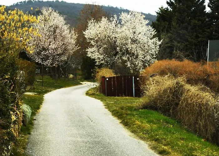 Ronyhome *